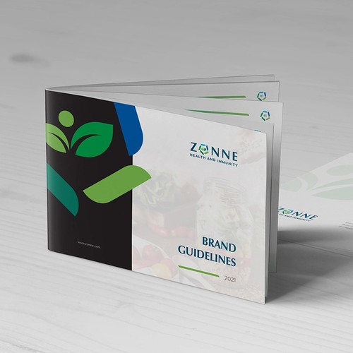 Lab design with the title 'Brand Guidelines for Health Care.'