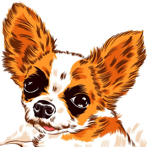 Pet illustration with the title 'Greeting Card'