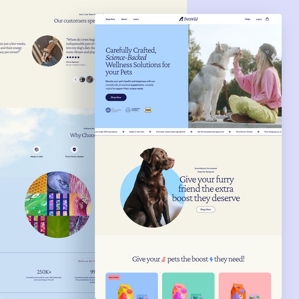 Dog website with the title 'Website design for a pet supplement brand'