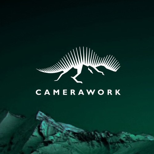 Double meaning logo with the title 'Logo for a cameraman who loves mountainous landscapes and who works in TV, movies and photographs.'