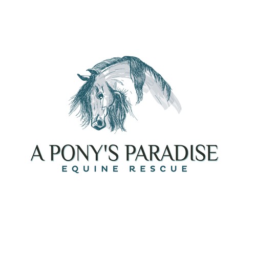 Creative-drawing logo with the title 'A Pony's Paradise'