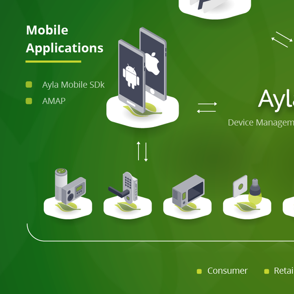 IoT design with the title 'Ayla Networks Infographic'