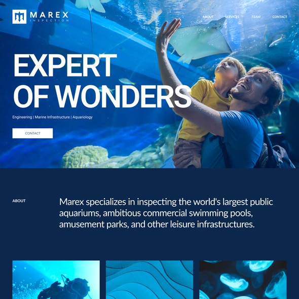 Aquarium design with the title 'Modern website for commercial divers'