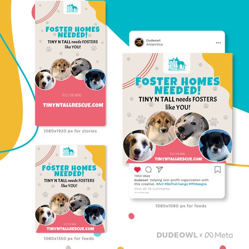 Pet shop design with the title 'Facebook (Meta) Ad project for helping non-profit organization'