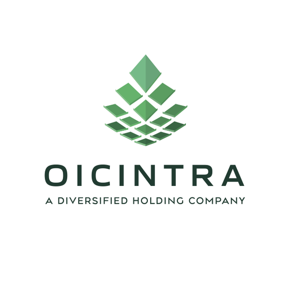 Evergreen design with the title 'Oicintra - Logo and Identity pack'