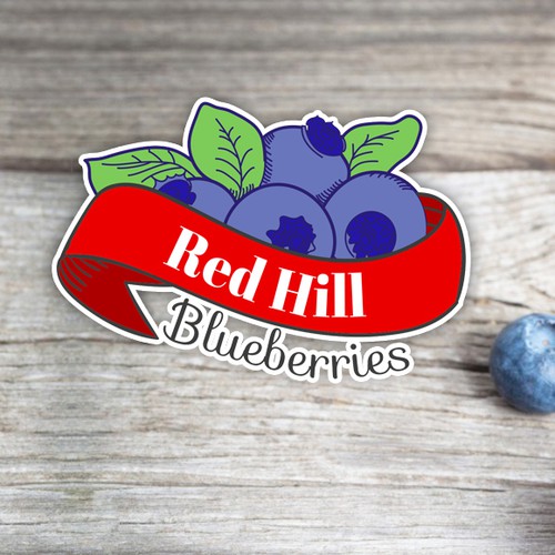 Blueberry logo with the title 'Blueberries Logo - Color variation'