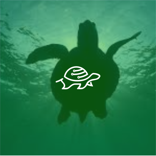 Turtle logo with the title 'Clever Turtle Digital'