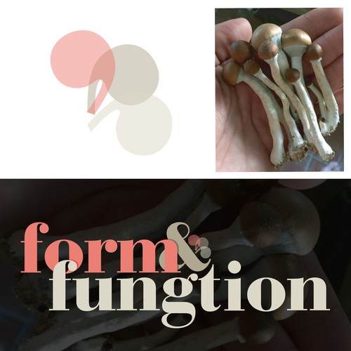 Drug design with the title 'medicinal mushroom logo'