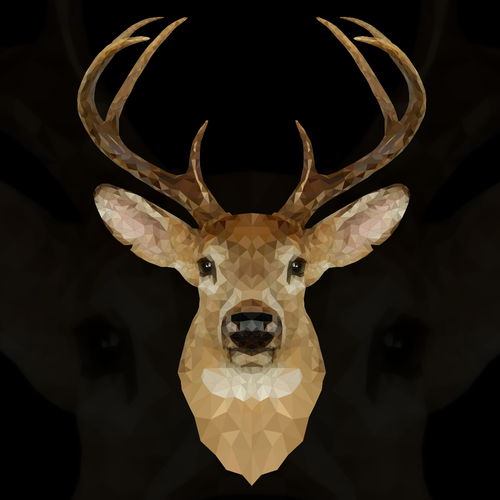 Low poly logo with the title 'low poly'