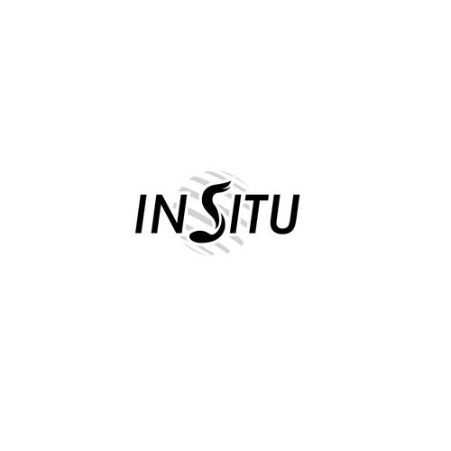 Electronic music logo with the title 'In Situ'