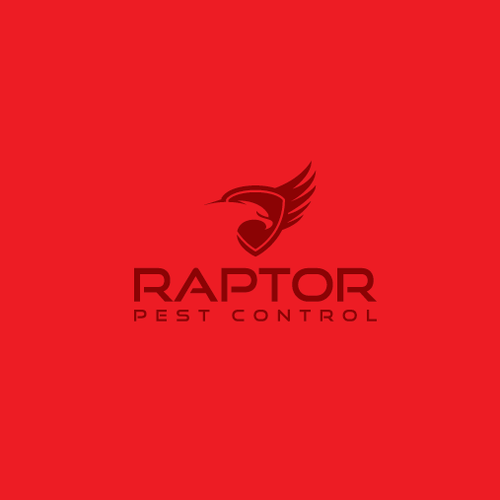 Raptor logo with the title 'RAPTOR'
