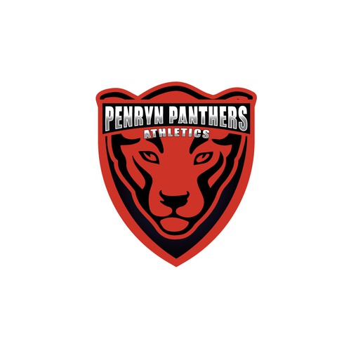 black panthers football logo