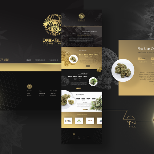 Classic website with the title 'Webpage design for The Dreamline'