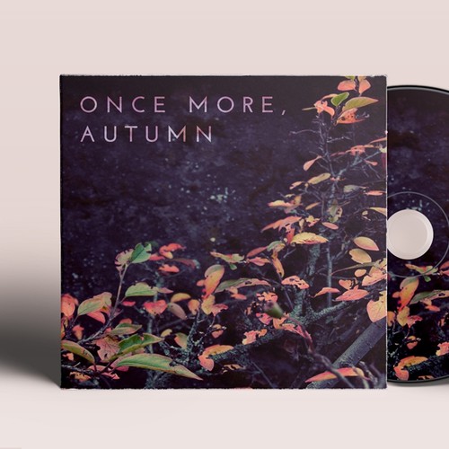 Photography artwork with the title 'album cover'