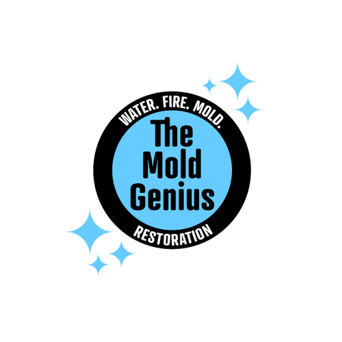 Restoration logo with the title 'Logo for a Building Restoration Company'