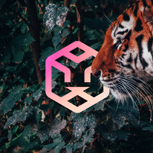 Tiger design with the title 'SoulTiger'