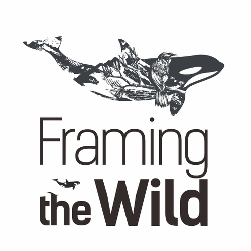 Orca design with the title 'Framing the Wild Logo'