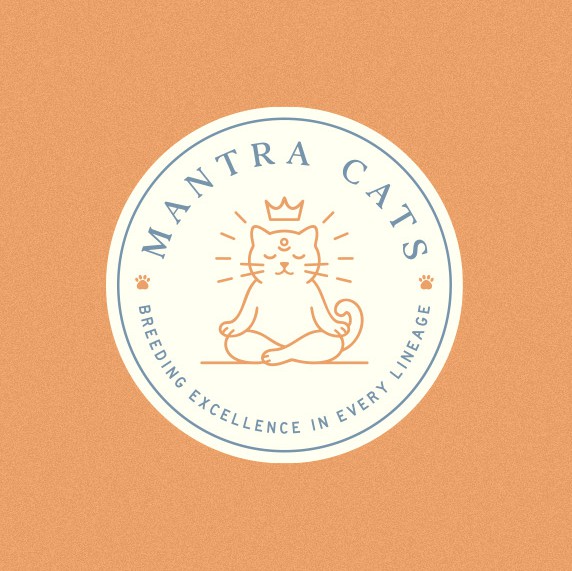 Crown logo with the title 'Cat logo'