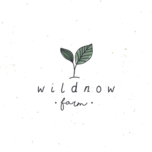 Daisy logo with the title 'Wildnow farm'
