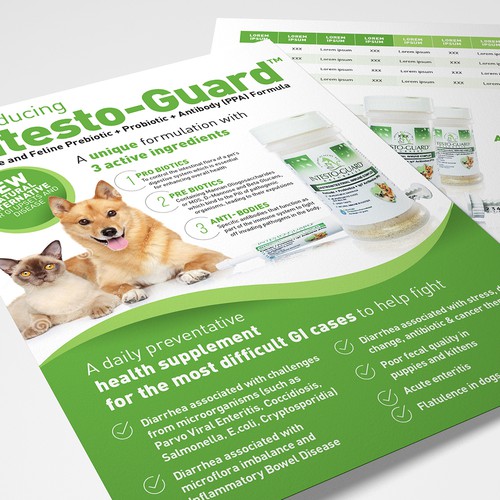 Outstanding design with the title 'Intensto Guard Flyer'