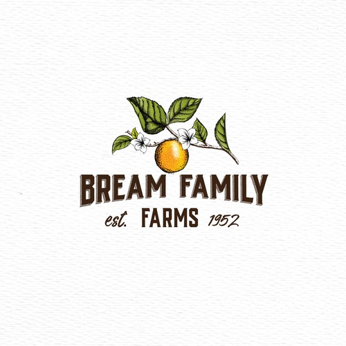 Orchard design with the title 'Logo for a 3rd generation family owned citrus farm'