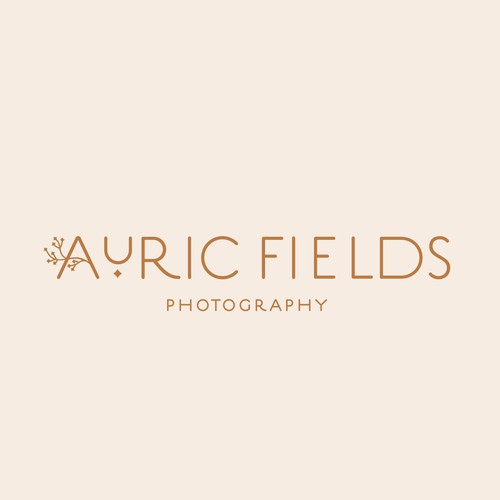 Boho logo with the title 'Logo design for a photographer'