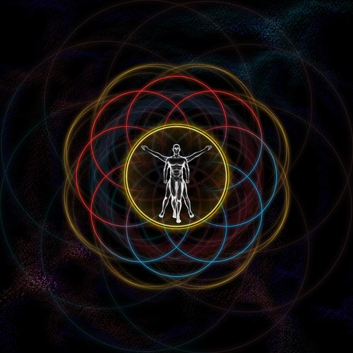 Education artwork with the title 'Human Toroidal Illustration for Finding Meaning'