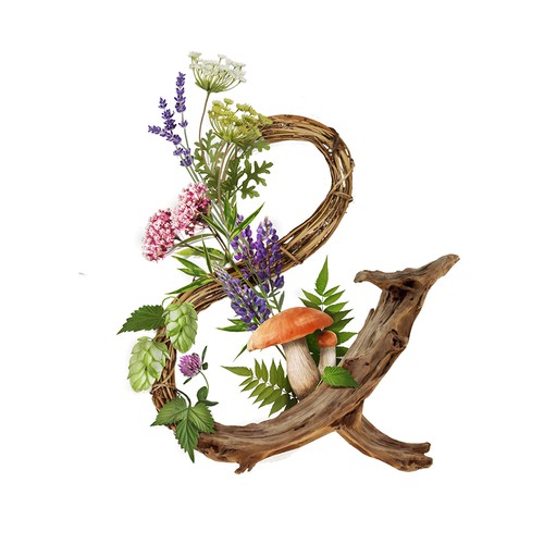 Botanical illustration with the title 'botanical illustration for the beer factory'