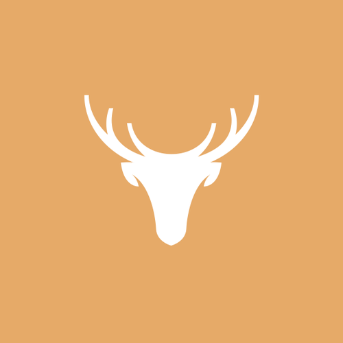 Consulting brand with the title 'deer'