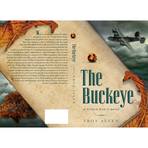 Historical fiction book cover with the title 'Book Cover: Novel'