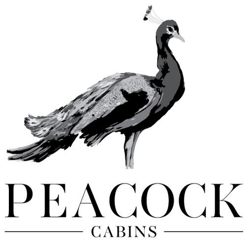 Peacock design with the title 'Peacock '