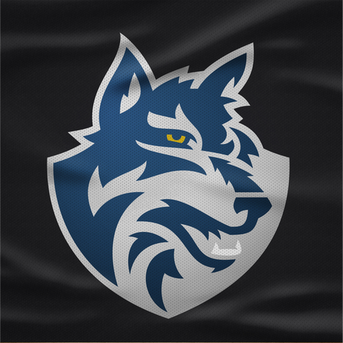 Steelers logo with the title 'Timberwolves Logo'