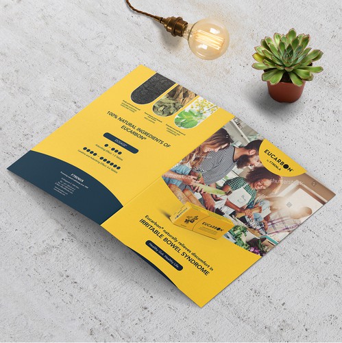Handout design with the title 'Modern Flat Bifold Brochure Concept for F. Trenka'