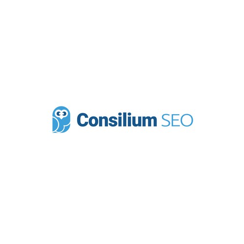 SEO logo with the title 'Consilium Seo'