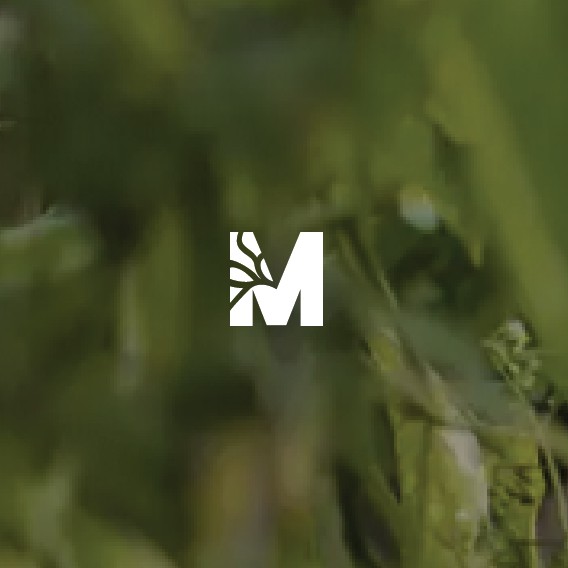 Science design with the title 'Creative  agritech logo for startup'