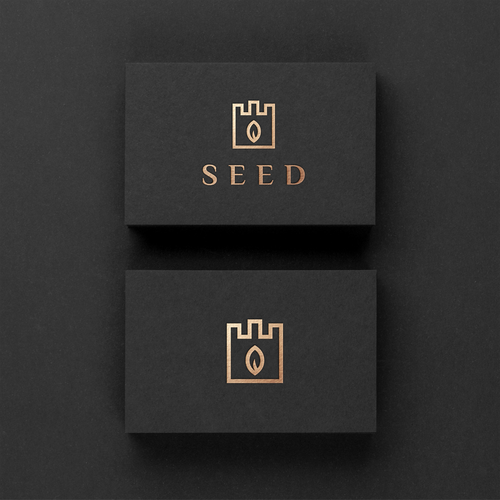 Leaf logo with the title 'Seed'