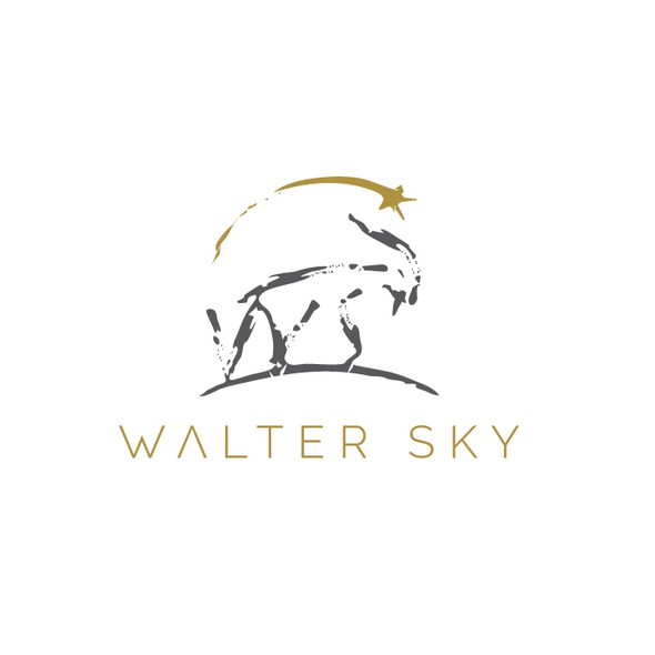 Ws logo with the title 'Logo for climbers clothes brand'