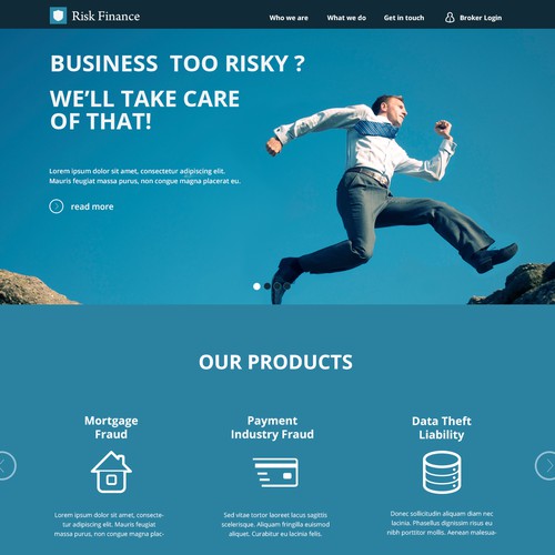 Business website with the title 'New website design wanted for www.riskfinance.com'