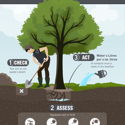 Ground design with the title 'Graphic illustration of Plant need water'