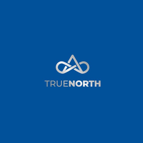 Corporate identity logo with the title 'True North'