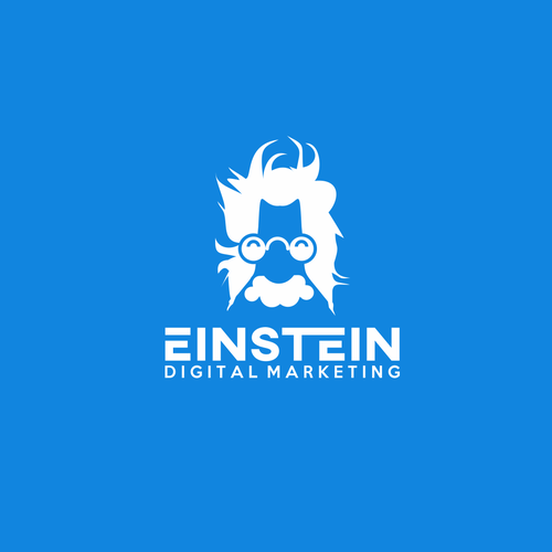 Einstein logo with the title 'EINSTEIN logo'
