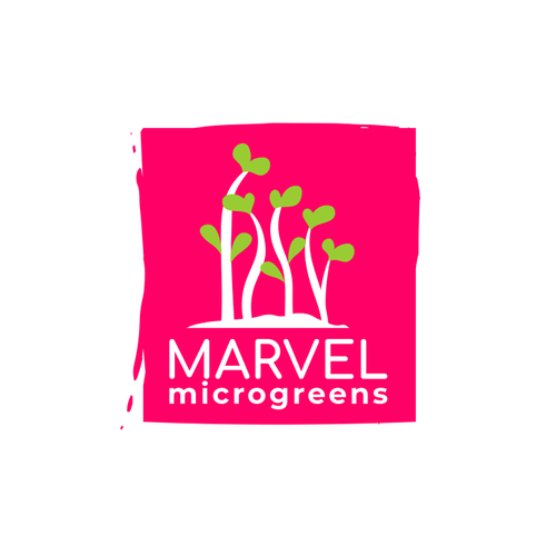 Beautiful logo with the title 'Logo Marvel Microgreen '