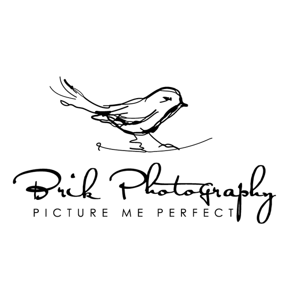 Art logo with the title 'sketchy bird hand-drawn'