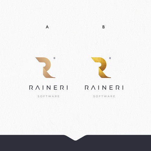 Sketch brand with the title 'Branding & Full CI package for  'RAINERI SOFTWARE''