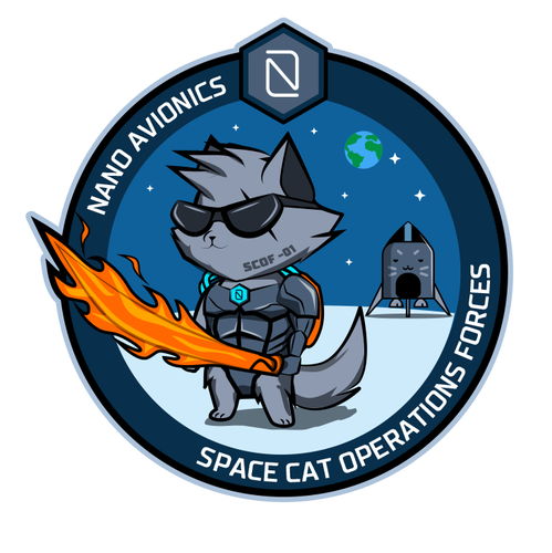 Warrior artwork with the title 'Illustration for a Patch'