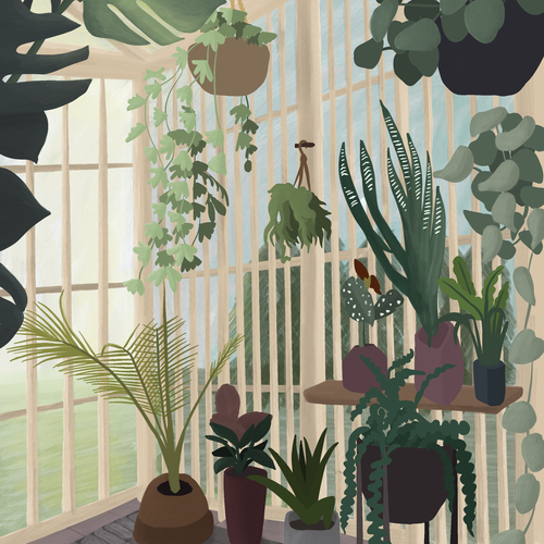 Jungle illustration with the title 'Indoor Jungle Cover Art'