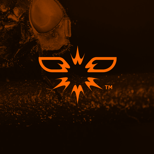 Fly design with the title 'fly swatter'