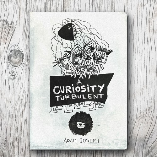 Hand-drawn book cover with the title 'A curiosity Turbulent-Book cover'