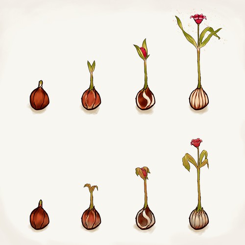 Process design with the title 'Plant Growing'