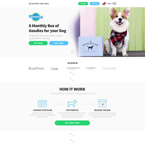 Dog website with the title 'Redesign website'